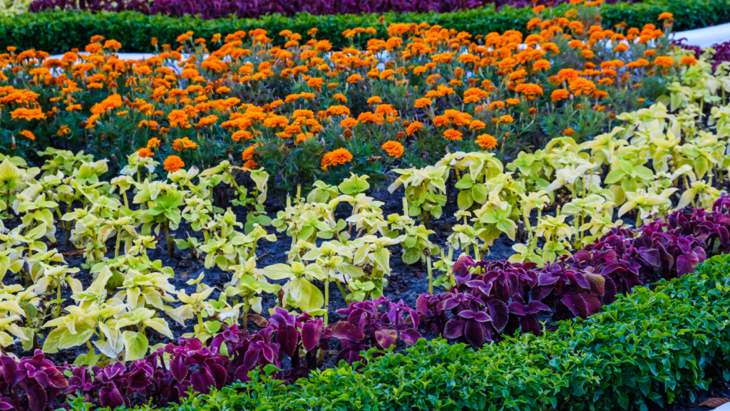 Garden Center Newington CT